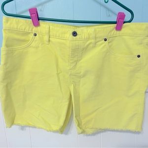 Carve Designs Oahu Shorts 5” Women’s size 12